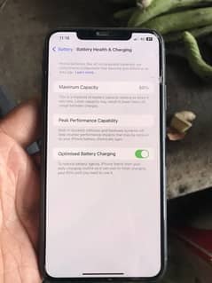 I phone 11pro mex
