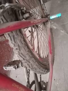 Bicycle for sale