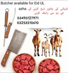 Qasai// butcher