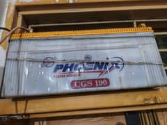 phonix