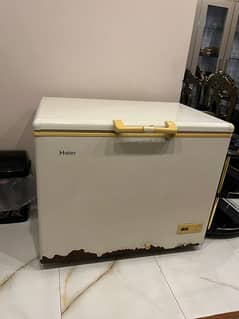 Haier Freezer