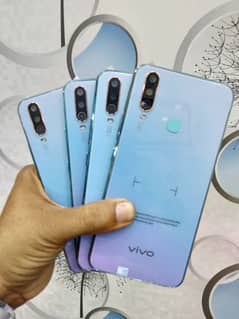 vivo