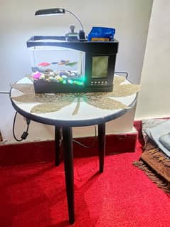 Mini Led Fish Tank with filter Digital display  Antique