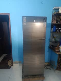 Haier