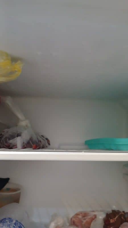 Haier fridge  medium 7