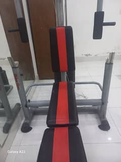 Imported Full body exercise machine slim line
