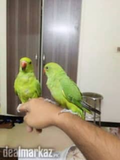 green