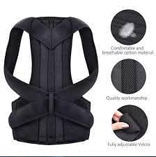 Back support belts