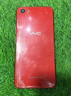 Vivo