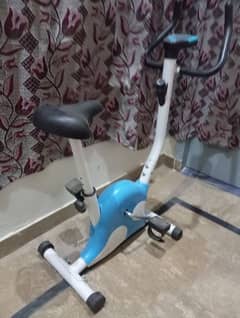 exercise cycle
