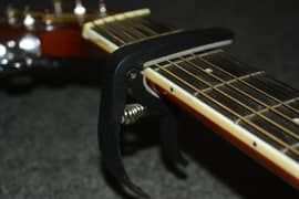 Capo