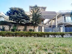 F-10 Beautiful Upper Portion Size (1/Kanal) Very Reasonable Rent