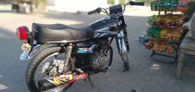 bile125