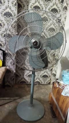 Royal stand fan