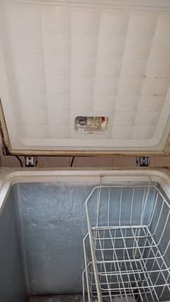 chilling large size Deep freezer