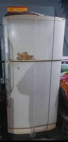 Pell Fridge