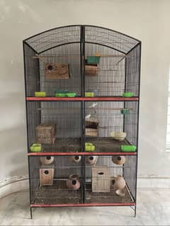 Birds cage 7ft in length and 5ft in width with 3 pairs of love birds.