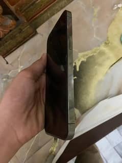 Iphone12promax