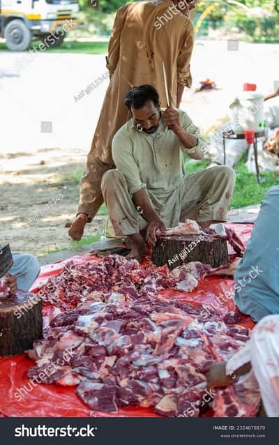 Qasai Available for Eid 2026