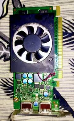 GT 730 2 GB~