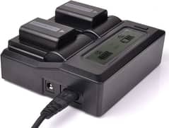2 Video lights 1 battery Charger 2 batteries Camera Tripod Stand