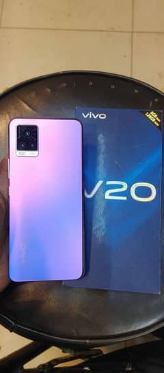 vivo