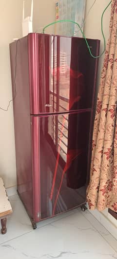 Orient Tulip Refrigerator