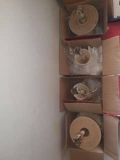 Fans  Ceiling fans