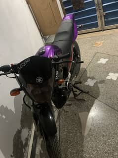 Ybr for sale