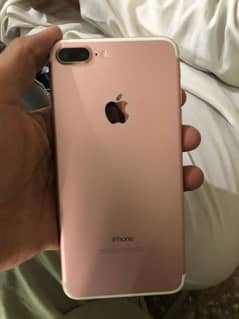 03237746276