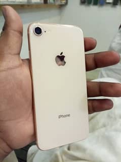 64