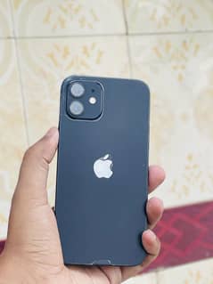 iPhone12