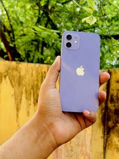 iPhone12