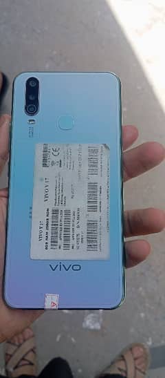 Vivo