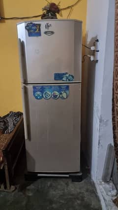 haier fridge double door