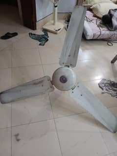 pak
