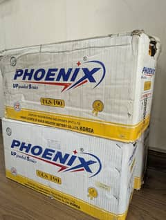 phoenix batteries 21 plates/cell for inverter, UPS. . 6 month warranty