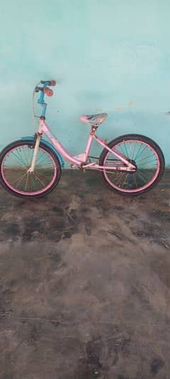By cycle