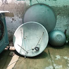 dish