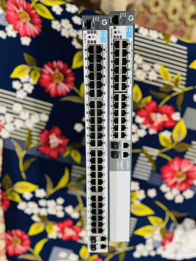 hp switch 48 port