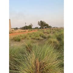 21 Marla Plot For Sale