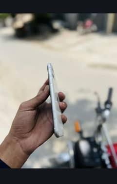 iPhone 11 PTA approved