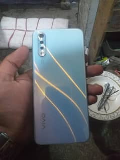 vivo
