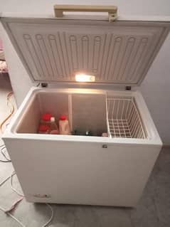 Waves single door deep freezer in good condition.
