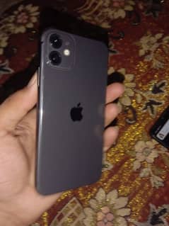 iphne 11