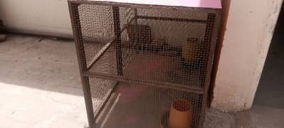 Hen