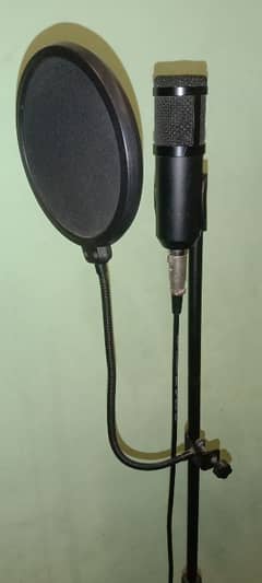 BM - 800 Microphone