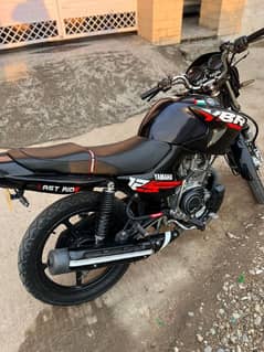 yamaha ybr