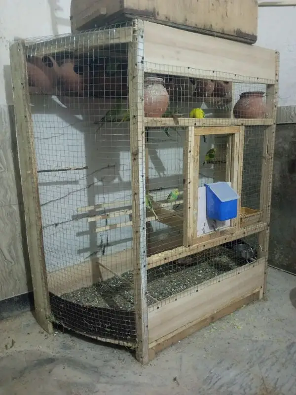 beautiful Colony Wooden cage for Sale Rs 12500/- — photo 2