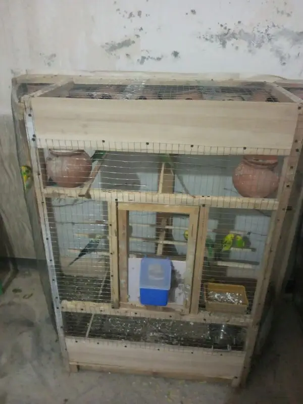 beautiful Colony Wooden cage for Sale Rs 12500/- — photo 3